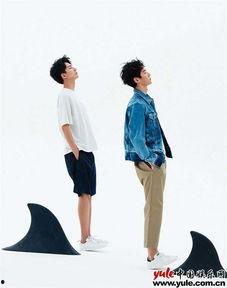 李宏毅最新爆料,揭秘娱乐圈不为人知的幕后真相